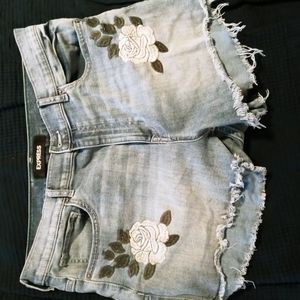 Express 14 shorts